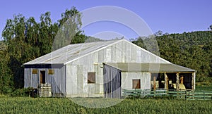 A Working Australian Woolshed