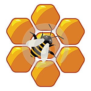 Working bee on honeycells, vector