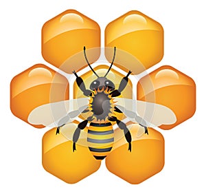 Working bee on honeycells, vector