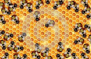 Working Bees crawling on a Honeycomb