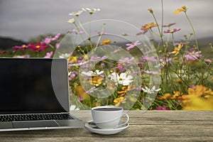Working by black laptop computer and hot coffee with steam in white cofee cup on wooden table in flower filed garden in morning