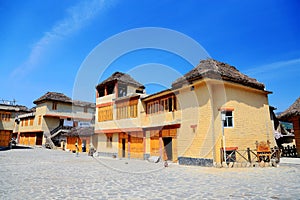 The Working Buffalo in Yuenyang Hani Terrace in Yunnan , China