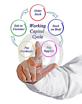 Working Capital Cycle