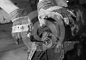 Working on a car motor