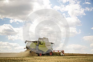 Working combine harvester in a wheat field. Agricultural background.