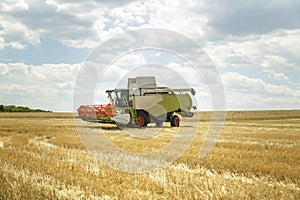 Working combine harvester in a wheat field. Agricultural background.