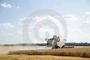 Working combine harvester in a wheat field. Agricultural background.