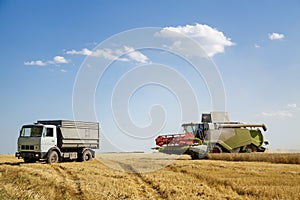 Working combine harvester in a wheat field. Agricultural background.