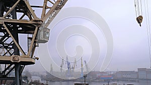 Working cranes in sea port for cargo industry