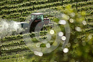 Spraying in Vineyards