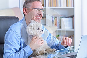 Working with dog at home