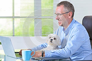 Working with dog at home