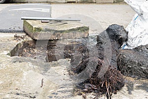 Working for drain cleaning