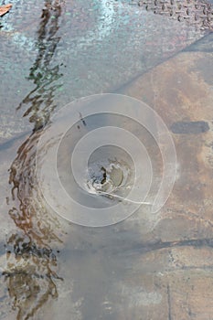 Working for drain cleaning