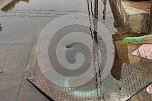 Working for drain cleaning