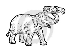 Working elephant with log in its trunk sketch