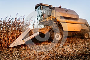 Working farmer using combine for harvesting corn. Working details of autumn harvest