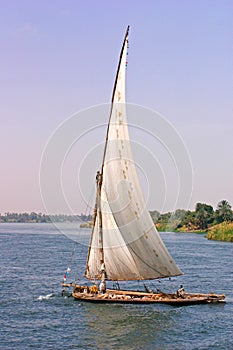 Working Felucca sailing on the river Nile