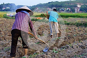 Working on the field