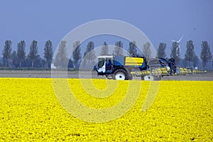 Working on the fields