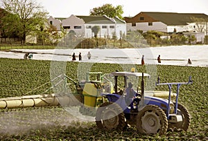 Working the fields