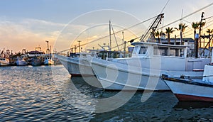 Working fishing boats at dawn in Rockport-Fulton harbor, before