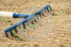Working In Garden With Rake Leveling Ground. Work In Garden With Rake. Preparation Of Ground For Seeding and Planting