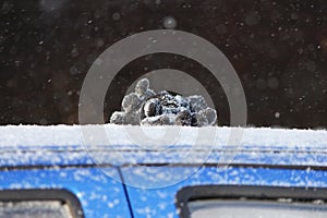 working gloves of the driver lie on the hood of the blue car, which is bogged down and slips in the snowdrift. reportage shooting.