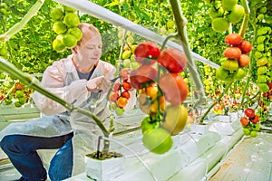 Working in greenhouse