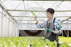 Working at a greenhouse nursery, Agronomic business concept In the greenhouse, an elderly man is working. In the hydrofarm photo