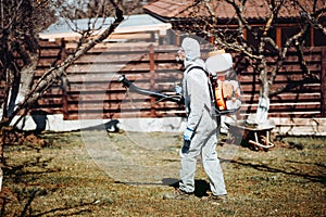 working handyman wearing protective clothing and spraying pesticides in backyard orchard