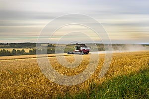 Working harvesting combine in the field of wheat.