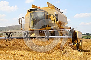 Working harvesting combine in the field of wheat