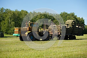 Working Harvesting Combine in the Field of Wheat