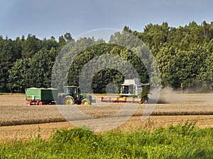 Working Harvesting Combine in the Field of Wheat