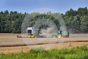 Working Harvesting Combine in the Field of Wheat