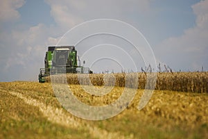 Working harvesting combine in the field of wheat with selective focus