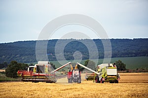 Working Harvesting Combine in the Wheat field