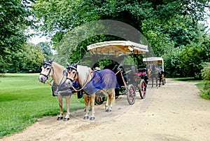 Working horses Ã°Å¸ÂÂ´