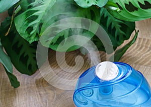 A working humidifier and arrowroot on the background. Humidification for home plants