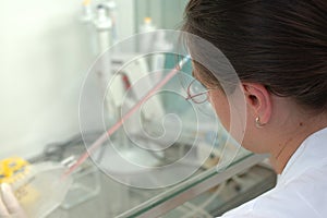 Working in lab