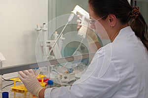 Working in lab
