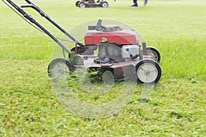 Working of lawn mover cutting grass leaves on garden field