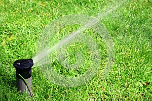 Working lawn sprinkler