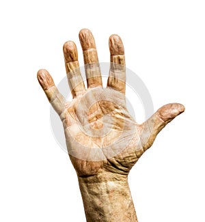 Working man dirty rough hand isolated