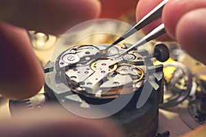 Working On A Mechanical Watch photo