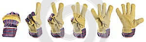 Working mens gloves on white background