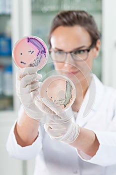 Working with microbacteria