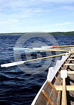 Working oars photo