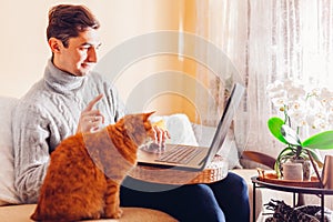 Working online from home with pet using computer. Man freelancer typing on laptop with ginger cat looking at screen